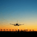 Projeto inovador do Aeroporto de Vitória reduz colisões com aves em 64% e conquista prêmio internacional. Iniciativa alia segurança operacional e preservação ambiental.