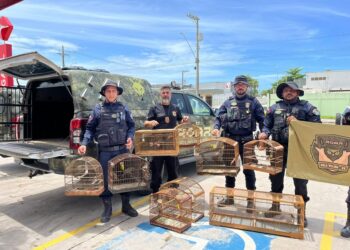 Polícia Civil e Guarda Municipal autuam três homens por posse irregular de aves silvestres e apreendem nove pássaros em operação em Vila Velha.