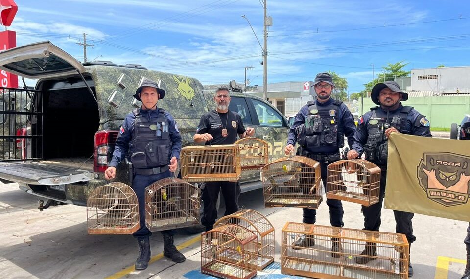 Polícia Civil e Guarda Municipal autuam três homens por posse irregular de aves silvestres e apreendem nove pássaros em operação em Vila Velha.