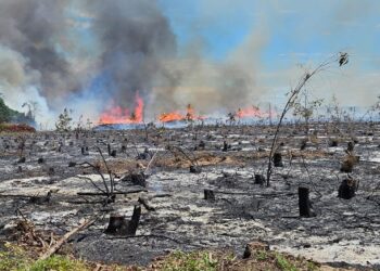 PCES e PCBA prendem suspeito de incêndios em plantações e pilhas de eucalipto que causaram prejuízo de quase R$ 40 milhões e interdições em rodovias.