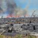 PCES e PCBA prendem suspeito de incêndios em plantações e pilhas de eucalipto que causaram prejuízo de quase R$ 40 milhões e interdições em rodovias.