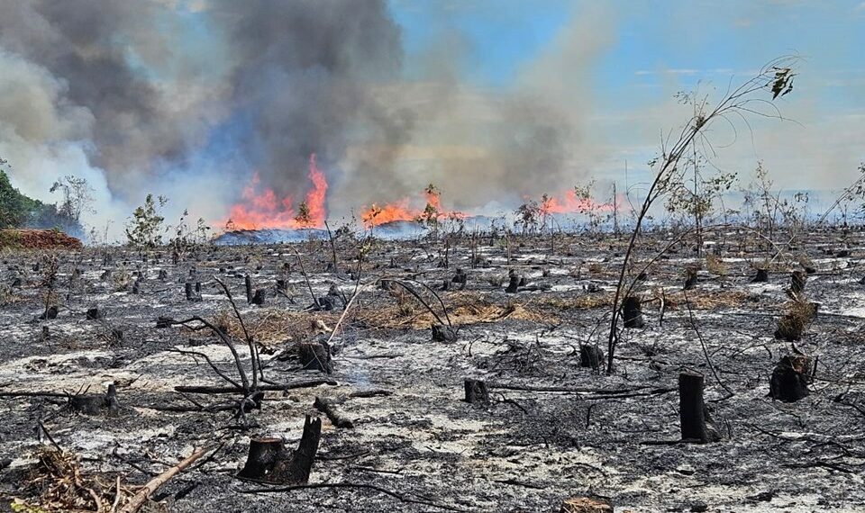 PCES e PCBA prendem suspeito de incêndios em plantações e pilhas de eucalipto que causaram prejuízo de quase R$ 40 milhões e interdições em rodovias.