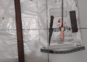 Polícia prende dois homens na Grande Vitória por vender carne de cavalo para restaurantes e açougues; 390 kg de carne apreendidos e dupla autuada em flagrante.
