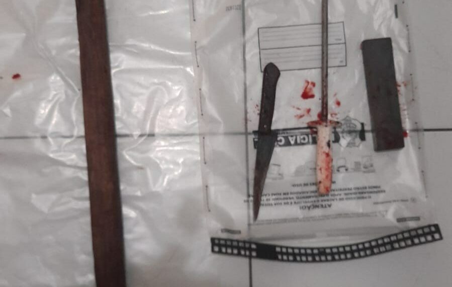 Polícia prende dois homens na Grande Vitória por vender carne de cavalo para restaurantes e açougues; 390 kg de carne apreendidos e dupla autuada em flagrante.