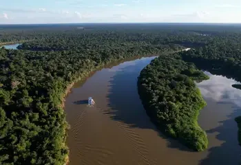 Relatório da Human Rights Watch denuncia pecuária ilegal no Pará que destrói áreas da Amazônia e ameaça comunidades indígenas.