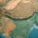 Plataforma Natureza ON será lançada na COP30 para mapear vulnerabilidades climáticas e indicar soluções sustentáveis em todo o Brasil.