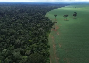 A Caravana da Resposta parte de Mato Grosso rumo a Belém, percorrendo 3 mil km até a COP30. Indígenas e movimentos sociais denunciam impactos da monocultura e dos corredores logísticos do agronegócio na Amazônia e no Cerrado.