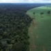 A Caravana da Resposta parte de Mato Grosso rumo a Belém, percorrendo 3 mil km até a COP30. Indígenas e movimentos sociais denunciam impactos da monocultura e dos corredores logísticos do agronegócio na Amazônia e no Cerrado.