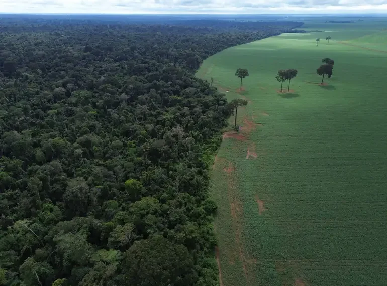 A Caravana da Resposta parte de Mato Grosso rumo a Belém, percorrendo 3 mil km até a COP30. Indígenas e movimentos sociais denunciam impactos da monocultura e dos corredores logísticos do agronegócio na Amazônia e no Cerrado.