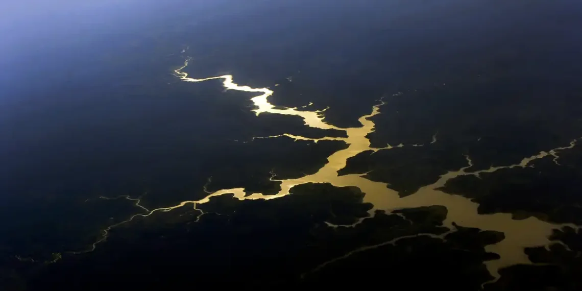 Estudo alerta que a Amazônia pode perder até 2,9 bilhões de toneladas de carbono até 2030 se não houver controle sobre o desmatamento.