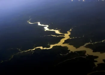 Estudo alerta que a Amazônia pode perder até 2,9 bilhões de toneladas de carbono até 2030 se não houver controle sobre o desmatamento.