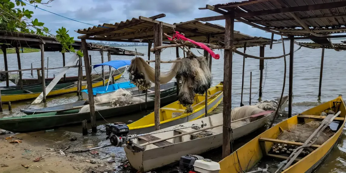 Período de defeso da piracema proíbe pesca comercial até janeiro de 2026 para garantir reprodução dos peixes. Pescadores têm direito ao seguro-defeso e devem seguir novas regras de fiscalização.