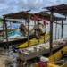 Período de defeso da piracema proíbe pesca comercial até janeiro de 2026 para garantir reprodução dos peixes. Pescadores têm direito ao seguro-defeso e devem seguir novas regras de fiscalização.