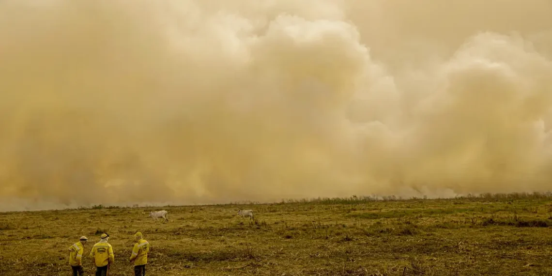 Relatório da The Lancet aponta que o calor extremo e a fumaça dos incêndios florestais causam mais de 700 mil mortes anuais no mundo. Documento destaca papel do Brasil na COP30 e cobra redução urgente do uso de combustíveis fósseis.