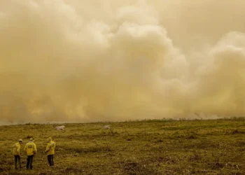Relatório da The Lancet aponta que o calor extremo e a fumaça dos incêndios florestais causam mais de 700 mil mortes anuais no mundo. Documento destaca papel do Brasil na COP30 e cobra redução urgente do uso de combustíveis fósseis.