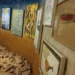 Itaú Cultural dedica exposição inédita da série Ocupação a Ailton Krenak, com mais de 90 obras que celebram sua luta, arte e legado na defesa dos povos indígenas.