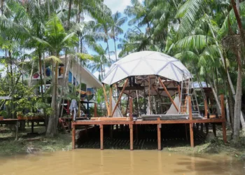 A Ilha do Combu, em Belém, lança a Rota Combu, um roteiro turístico sustentável com experiências autênticas da Amazônia, hospedagem, gastronomia regional e manejo agroflorestal.