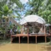 A Ilha do Combu, em Belém, lança a Rota Combu, um roteiro turístico sustentável com experiências autênticas da Amazônia, hospedagem, gastronomia regional e manejo agroflorestal.