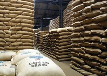 Alemanha supera EUA e lidera importações do café brasileiro em setembro. Colômbia aumenta compras em 567% após tarifaço imposto por Trump.