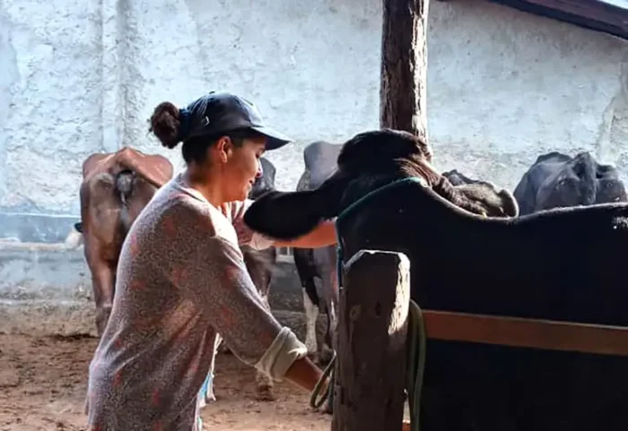No Dia Internacional das Mulheres Rurais, ONU e Governo do Brasil destacam a importância das trabalhadoras do campo e reforçam políticas de igualdade, crédito e sustentabilidade.