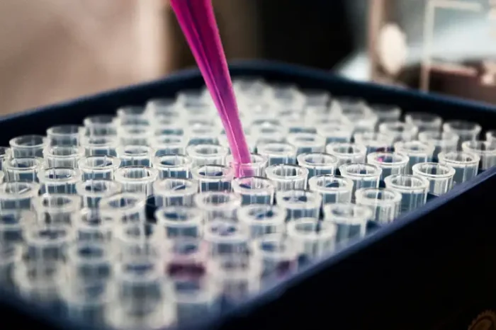 Pesquisadores brasileiros confirmam que exame de sangue com proteína p-tau217 identifica Alzheimer com mais de 90% de precisão. Estudo busca levar o teste ao SUS em até dois anos.