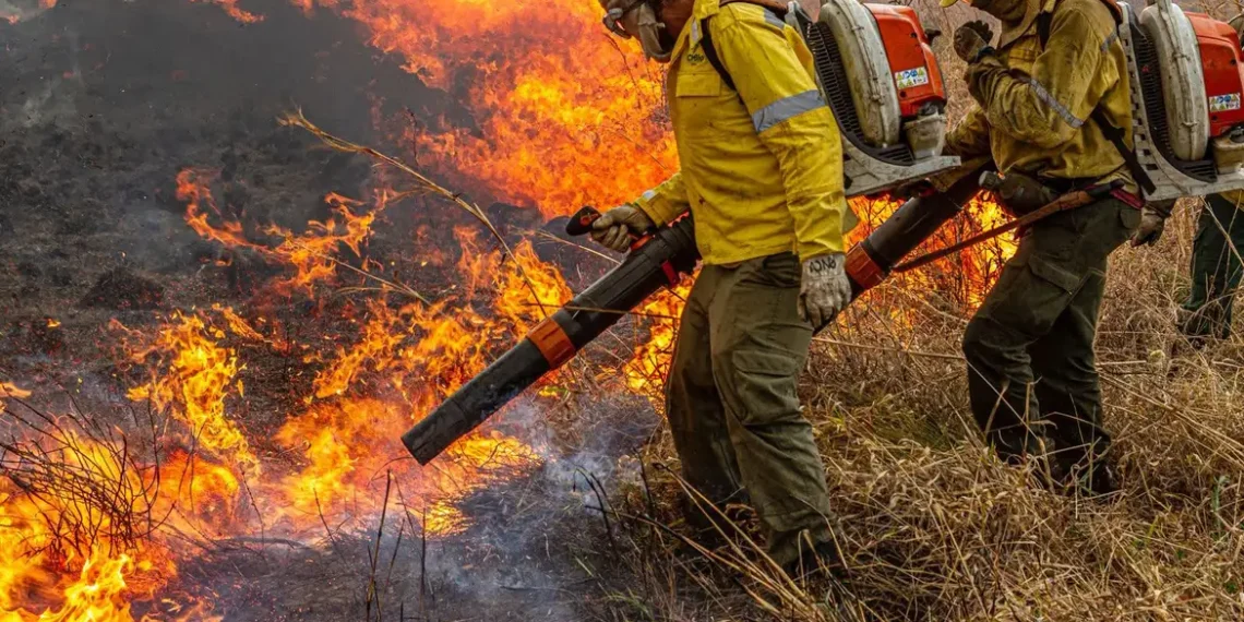 Brasil apresenta proposta global para combater incêndios florestais durante Pré-COP em Brasília; iniciativa será lançada oficialmente na COP30, em Belém.