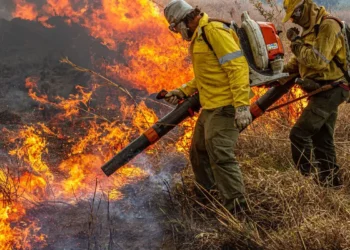 Brasil apresenta proposta global para combater incêndios florestais durante Pré-COP em Brasília; iniciativa será lançada oficialmente na COP30, em Belém.