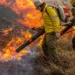 Brasil apresenta proposta global para combater incêndios florestais durante Pré-COP em Brasília; iniciativa será lançada oficialmente na COP30, em Belém.