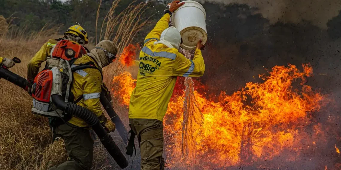 ICMBio controla dois dos três incêndios na Chapada dos Veadeiros, mas foco em Nova Roma ainda segue ativo. Área queimada pode chegar a 80 mil hectares.
