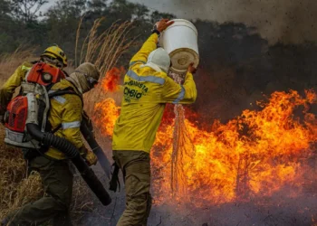 ICMBio controla dois dos três incêndios na Chapada dos Veadeiros, mas foco em Nova Roma ainda segue ativo. Área queimada pode chegar a 80 mil hectares.