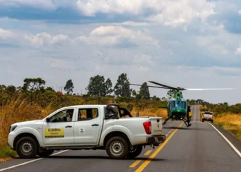 Chuvas ajudam a extinguir incêndios na Chapada dos Veadeiros. Segundo o ICMBio, apenas um foco segue ativo e área queimada chega a 111 mil hectares.