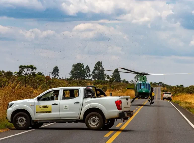 Chuvas ajudam a extinguir incêndios na Chapada dos Veadeiros. Segundo o ICMBio, apenas um foco segue ativo e área queimada chega a 111 mil hectares.