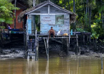 Lideranças defendem protagonismo dos povos da floresta e justiça territorial na COP30, que será realizada em Belém (PA) em novembro.