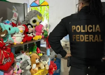 PF realiza Operação Proteção Integral III contra crimes de abuso sexual infantil, cumprindo mandados e resgatando vítimas em 16 estados.