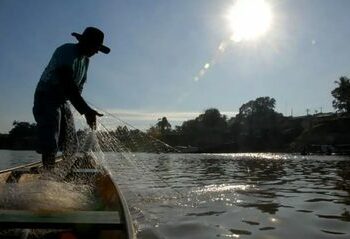 O Ministério do Trabalho passa a gerir o seguro-defeso do pescador artesanal e reforça fiscalização para evitar fraudes. Recadastramento presencial será feito em Amazonas, Bahia, Maranhão, Pará e Piauí.