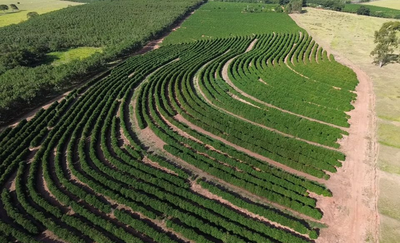O Café da Nova Alta Paulista, no oeste de São Paulo, recebe o selo de Indicação Geográfica. O reconhecimento do Inpi abrange 30 municípios e valoriza a produção regional de café.