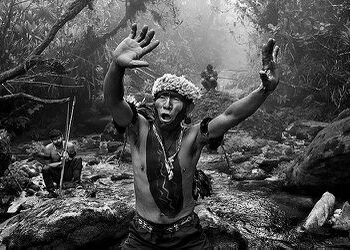 O Museu das Amazônias (MAZ) abre em Belém no dia 4 de outubro com entrada gratuita até fevereiro de 2026. Inaugurado por Lula, o espaço terá exposições de Sebastião Salgado e artistas amazônicos, com apoio do Museu Goeldi.
