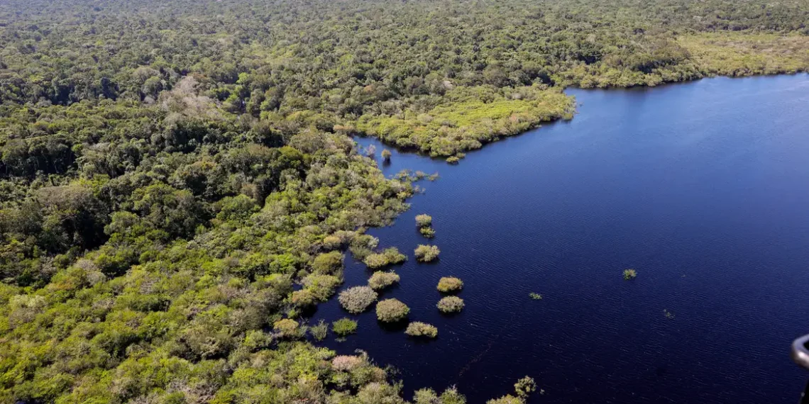 Inpe registra queda de 11% no desmatamento da Amazônia e do Cerrado entre agosto de 2024 e julho de 2025. Governo Lula destaca meta de desmatamento zero até 2030 e reforça ações de monitoramento.