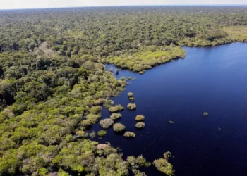 Inpe registra queda de 11% no desmatamento da Amazônia e do Cerrado entre agosto de 2024 e julho de 2025. Governo Lula destaca meta de desmatamento zero até 2030 e reforça ações de monitoramento.