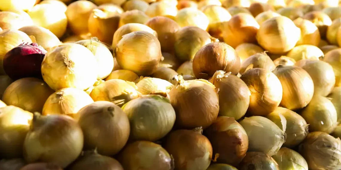IPCA-15 de outubro mostra deflação de 0,02% nos alimentos, com cebola, arroz e leite mais baratos. É o quinto mês seguido de queda, segundo o IBGE.