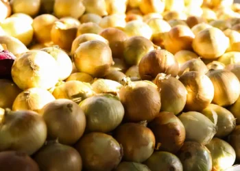 IPCA-15 de outubro mostra deflação de 0,02% nos alimentos, com cebola, arroz e leite mais baratos. É o quinto mês seguido de queda, segundo o IBGE.