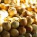 IPCA-15 de outubro mostra deflação de 0,02% nos alimentos, com cebola, arroz e leite mais baratos. É o quinto mês seguido de queda, segundo o IBGE.