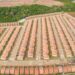 Lula entrega 2.837 casas do Minha Casa, Minha Vida em Imperatriz (MA). Investimento federal de R$ 358,6 milhões garante moradias gratuitas para famílias do Bolsa Família e BPC.