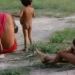 Relatório do Unicef mostra que o garimpo ilegal provocou mais de 500 mortes de crianças Yanomami entre 2019 e 2022, devido a doenças evitáveis e contaminação ambiental.