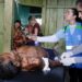 Desde a decretação da emergência sanitária em 2023, a mortalidade entre os Yanomami caiu 27,6%. Ministério da Saúde aponta queda nas mortes por malária, desnutrição e infecções respiratórias e ampliação da presença médica na região.