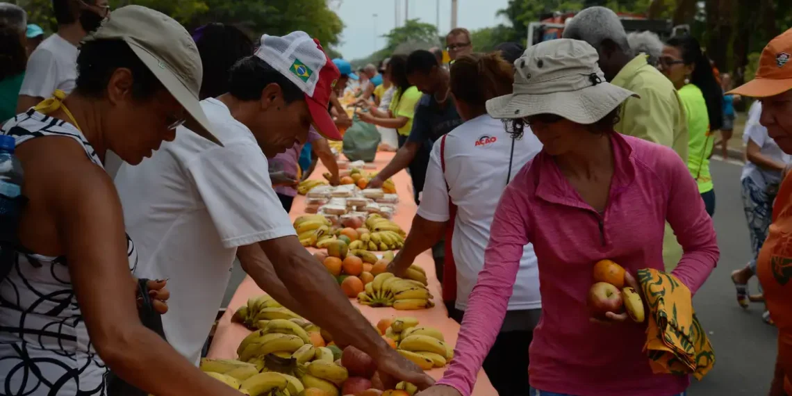 Ação da Cidadania lança o Natal Sem Fome 2025 com o tema “Ilumine o Natal de quem precisa” e meta de arrecadar 2 mil toneladas de alimentos para famílias em vulnerabilidade em todo o Brasil.