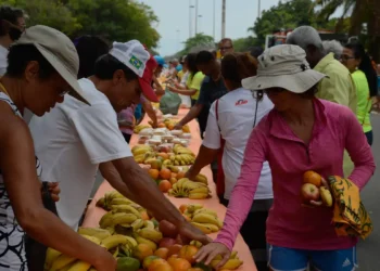 Ação da Cidadania lança o Natal Sem Fome 2025 com o tema “Ilumine o Natal de quem precisa” e meta de arrecadar 2 mil toneladas de alimentos para famílias em vulnerabilidade em todo o Brasil.