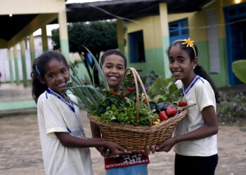 MEC prorroga até 30 de novembro o prazo de adesão ao Novo Pronacampo. Nordeste lidera com 91,7% dos municípios participantes. Programa busca ampliar o acesso e a permanência de estudantes nas escolas do campo.