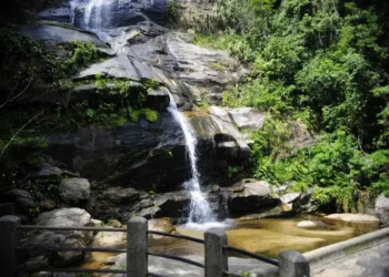 Parque Nacional da Tijuca promove feira de ciências gratuita com atividades sobre rios, peixes e preservação ambiental neste sábado (15). Confira a programação.
