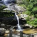 Parque Nacional da Tijuca promove feira de ciências gratuita com atividades sobre rios, peixes e preservação ambiental neste sábado (15). Confira a programação.